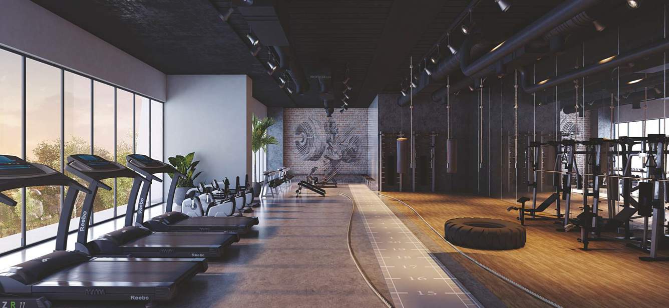  lifestyle towers Gymnasium
