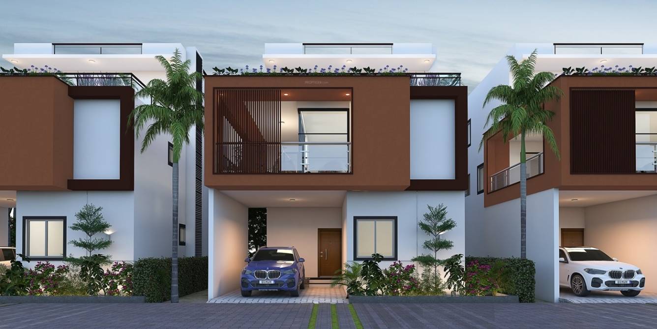 Elevation north county Elevation