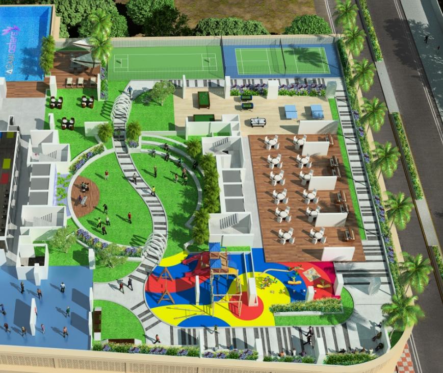  asters Terrace Garden