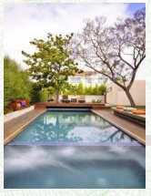  luxury park 2 revised Swimming Pool