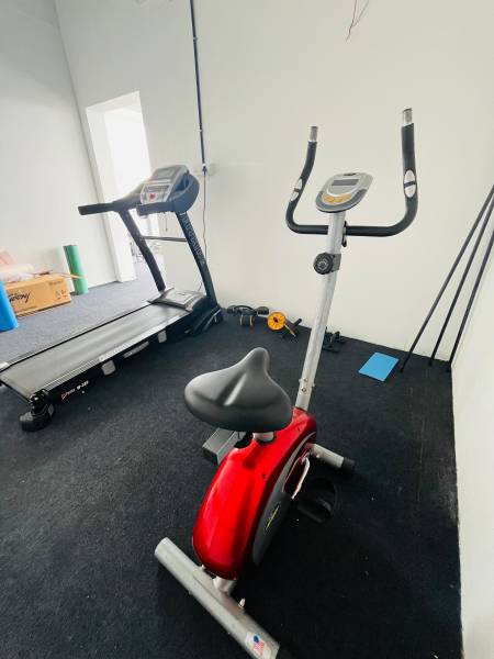 Gymnasium amaranta Gymnasium