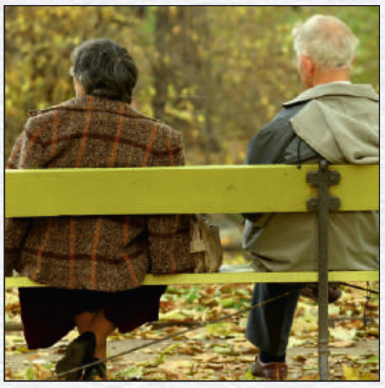  shree hari 142 phase 2 Senior Citizen Sitout