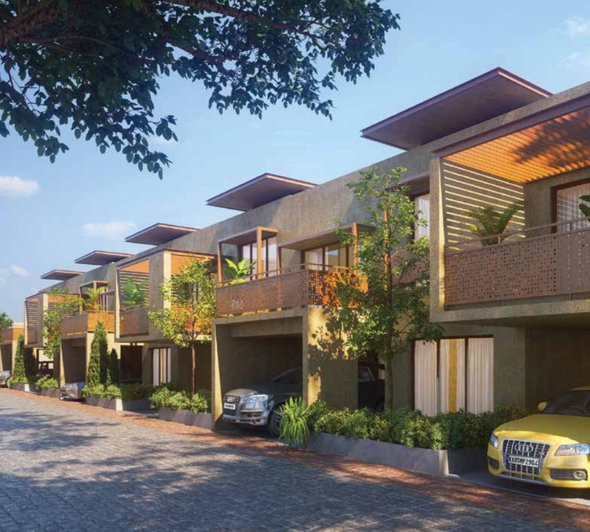  terravana phase 4 Elevation