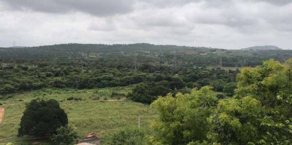  landmark-under-the-tree-2-0 Plot