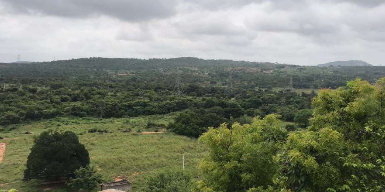  landmark under the tree 2 0 Plot