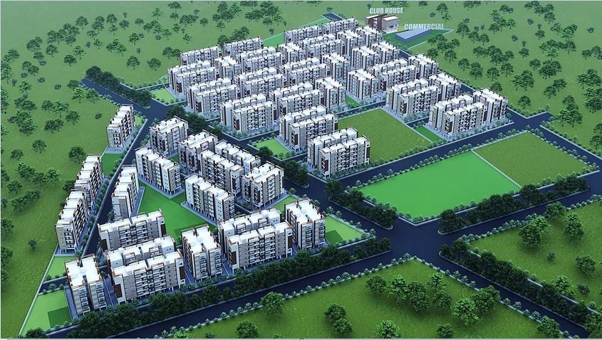 Elevation gardenia Elevation