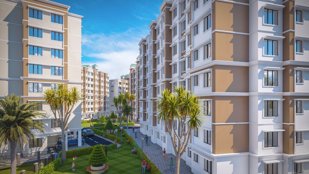  ninestar crown Elevation