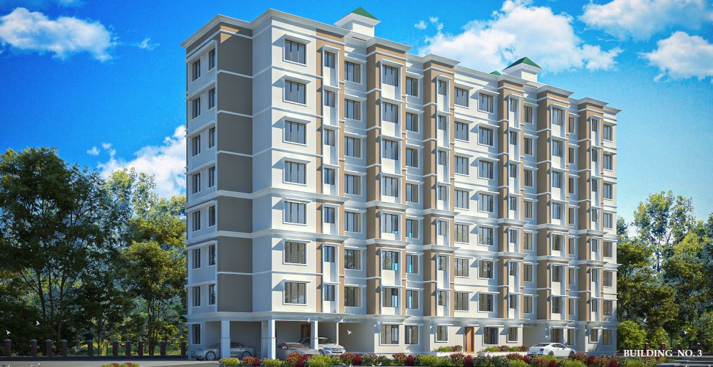  ninestar crown Elevation