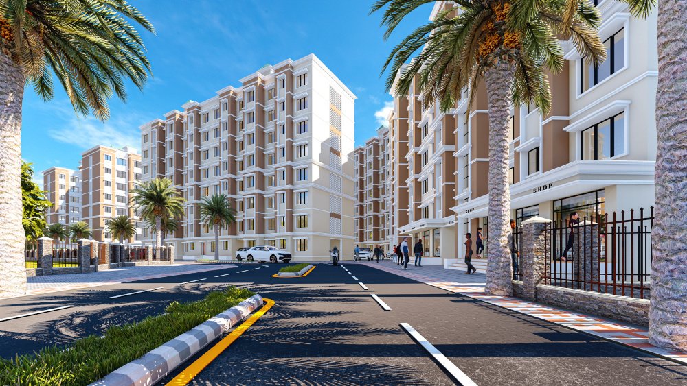  ninestar crown Elevation