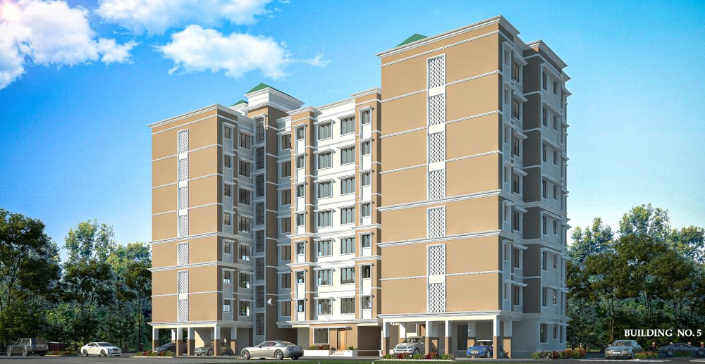  ninestar crown Elevation