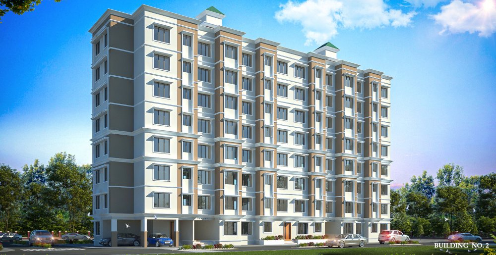  ninestar crown Elevation