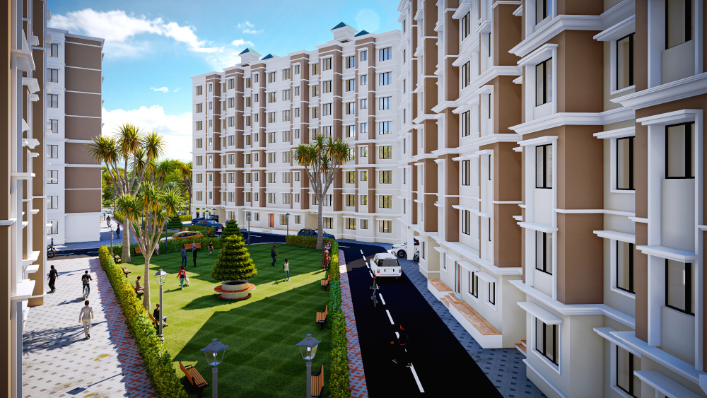  ninestar crown Others