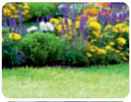  meena heights tower b Landscape Garden and Tree Planting