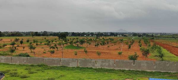  richland-farms Elevation