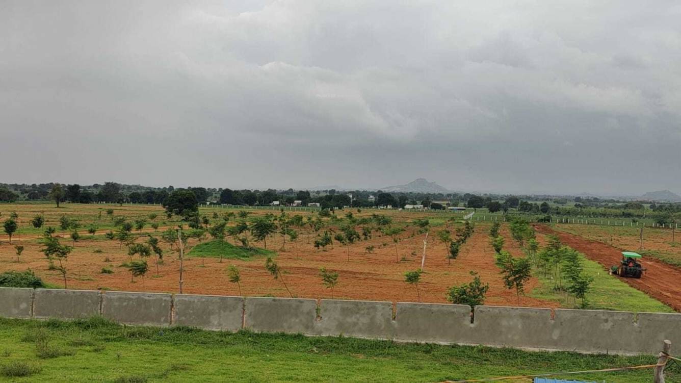  richland farms Elevation