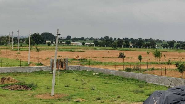  richland-farms Elevation