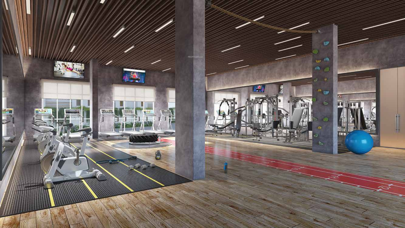  blissville Gymnasium