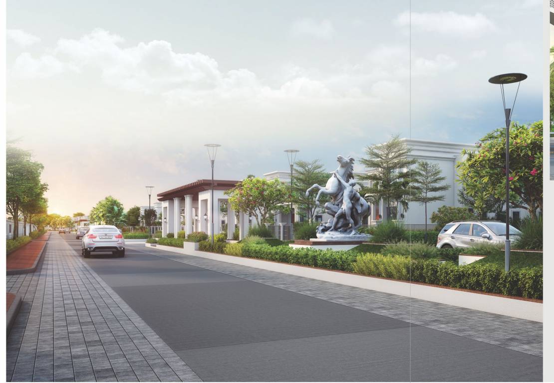 nri phase vii Others