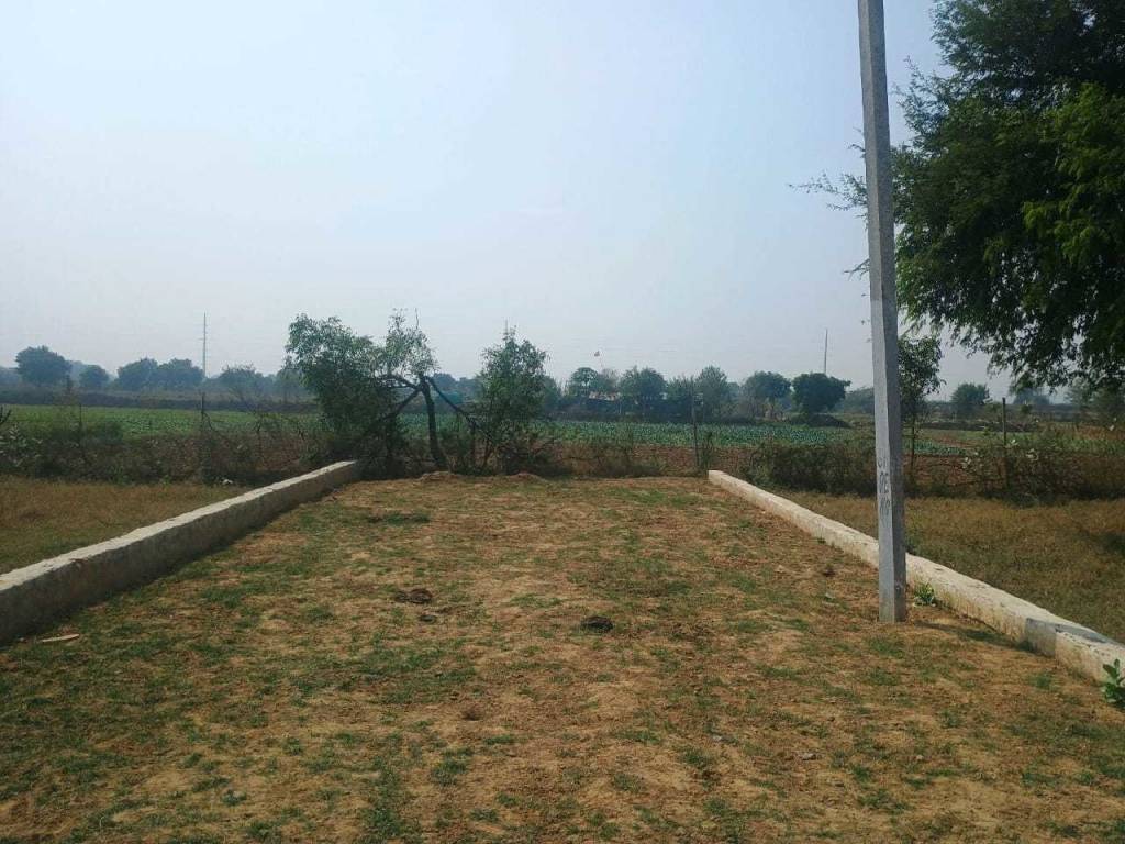 dau residency 2 Plot