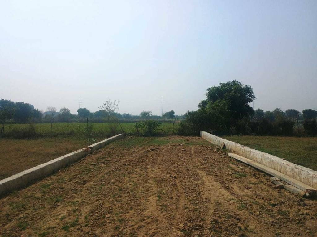 dau residency 2 Plot