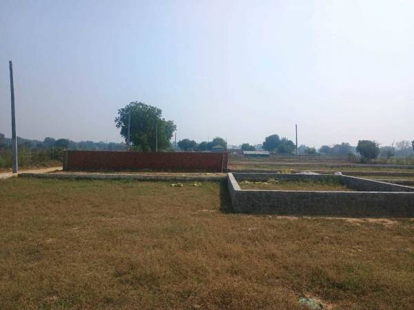  dau-residency-2 Plot