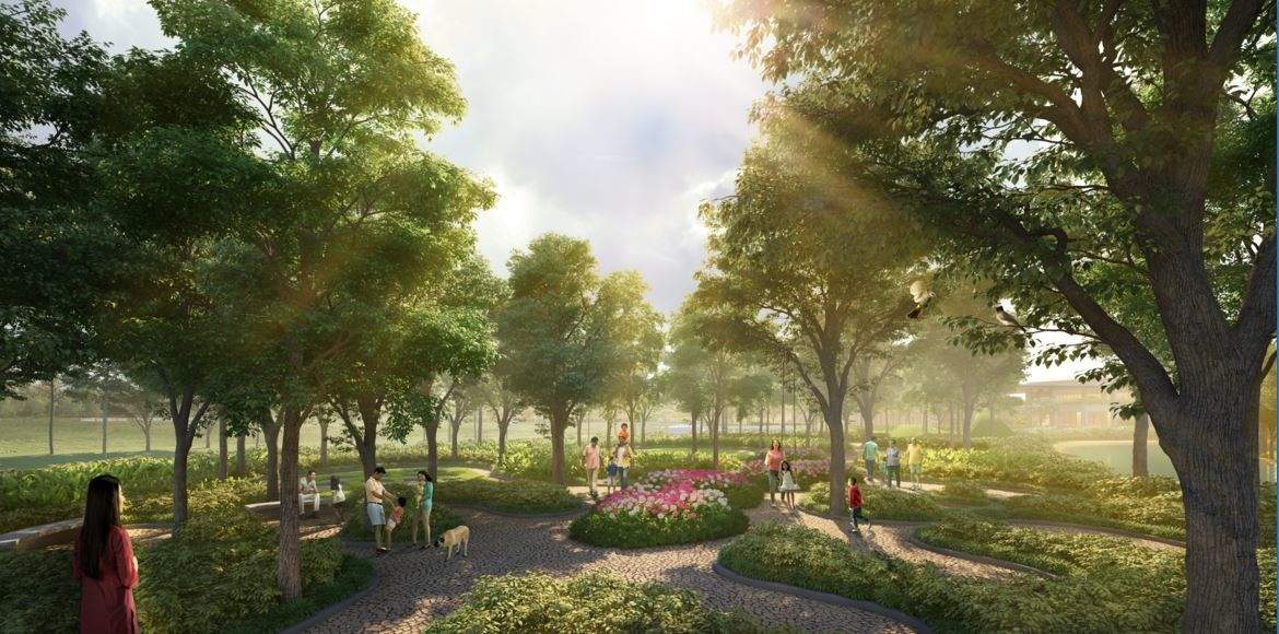 chitwan phase 1 Landscape Garden and Tree Planting