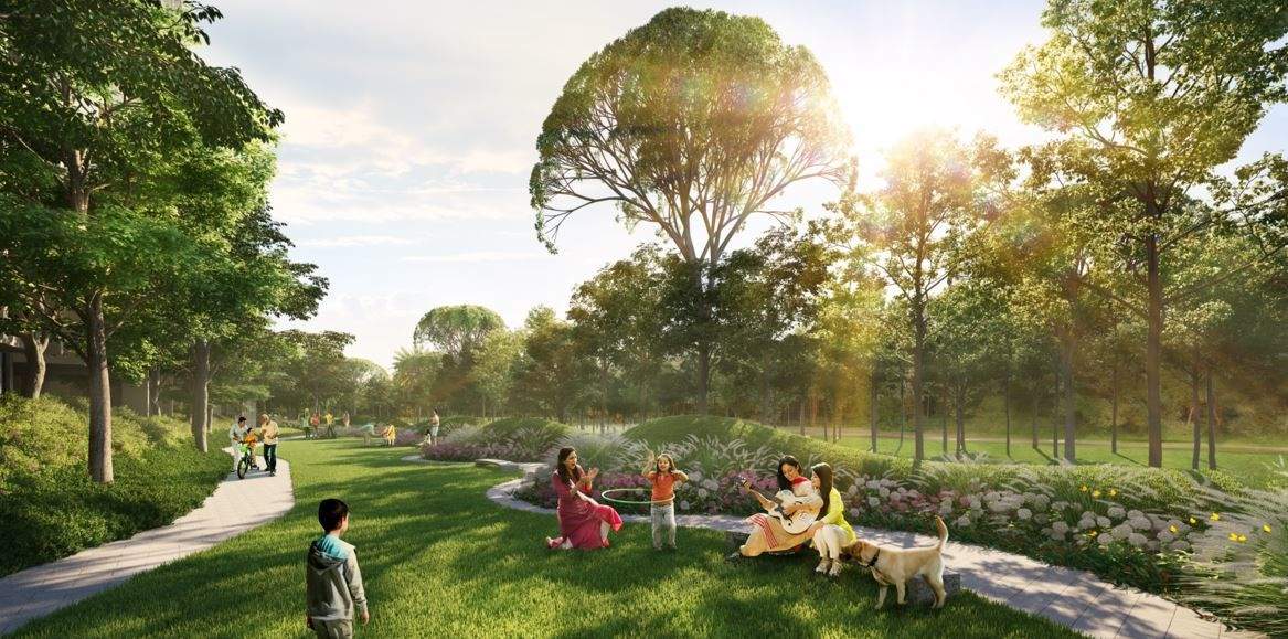 chitwan phase 1 Landscape Garden and Tree Planting