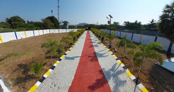  rld-royal-solitaire Plot