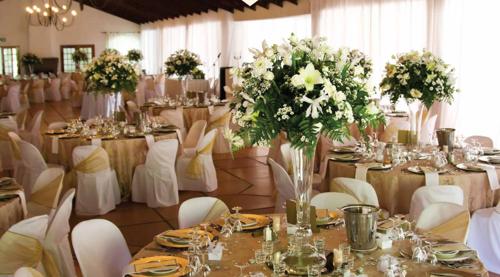  arrjavv-hazelburg-phase-2 Banquet Hall