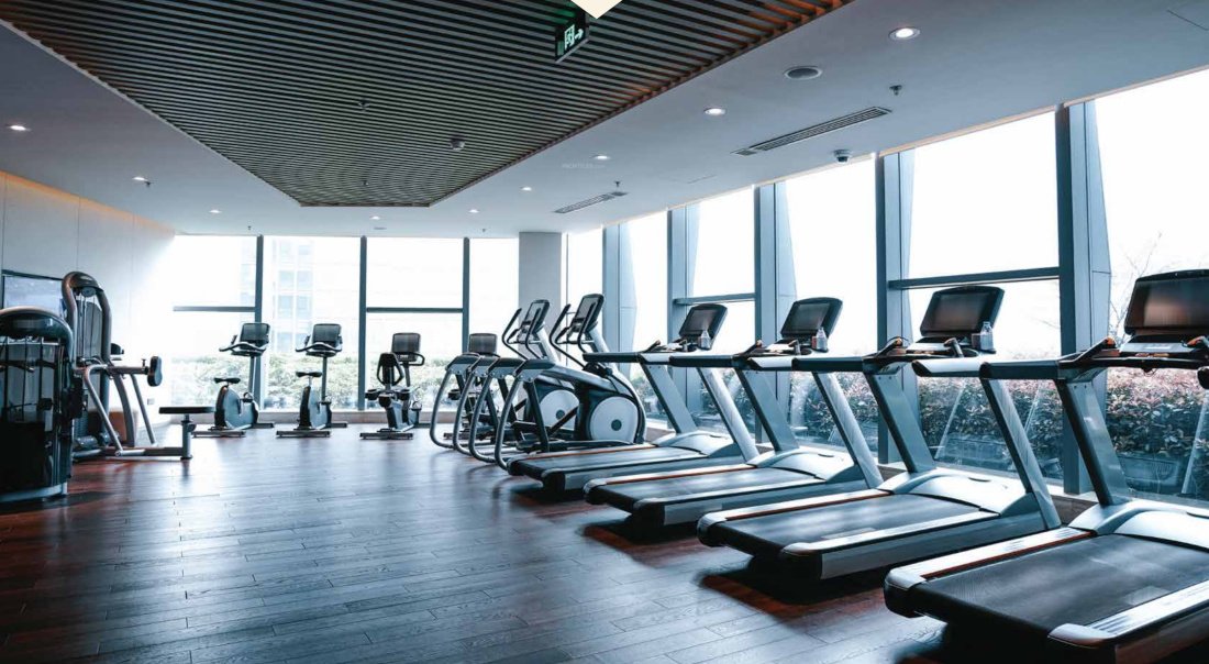  arrjavv hazelburg phase 2 Gymnasium