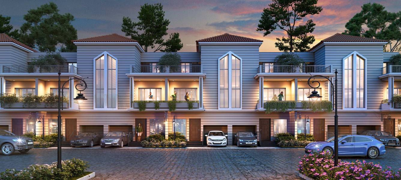  arrjavv hazelburg Elevation