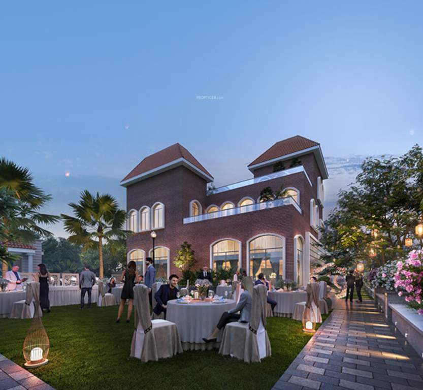  arrjavv hazelburg Party Lawn