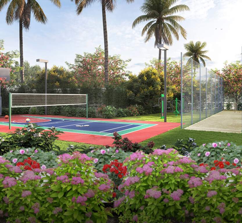  arrjavv hazelburg Tennis Court