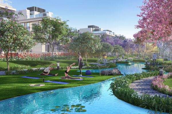  ace-estate Elevation