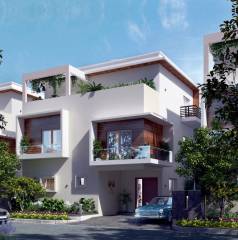 Project Image Project Image