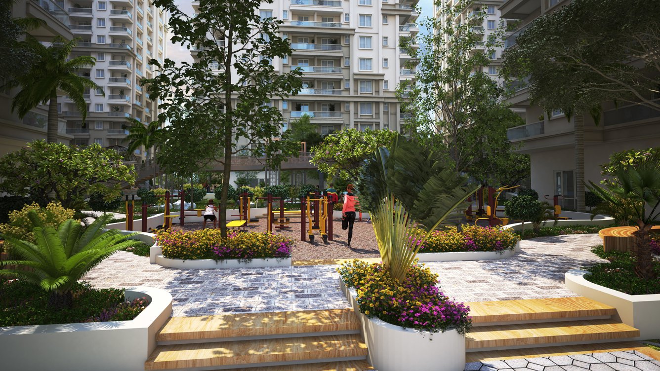  empress phase 1 Others