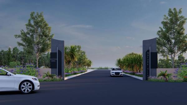  nature-city Elevation