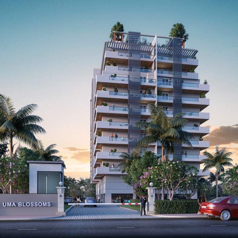  uma blossom Elevation