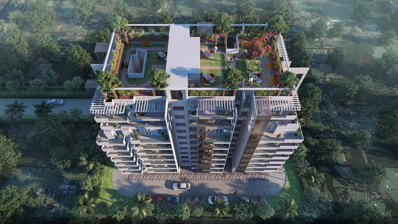  uma blossom Elevation