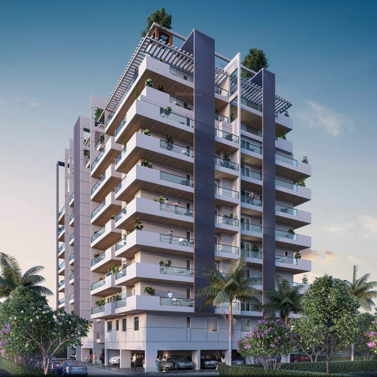  uma blossom Elevation