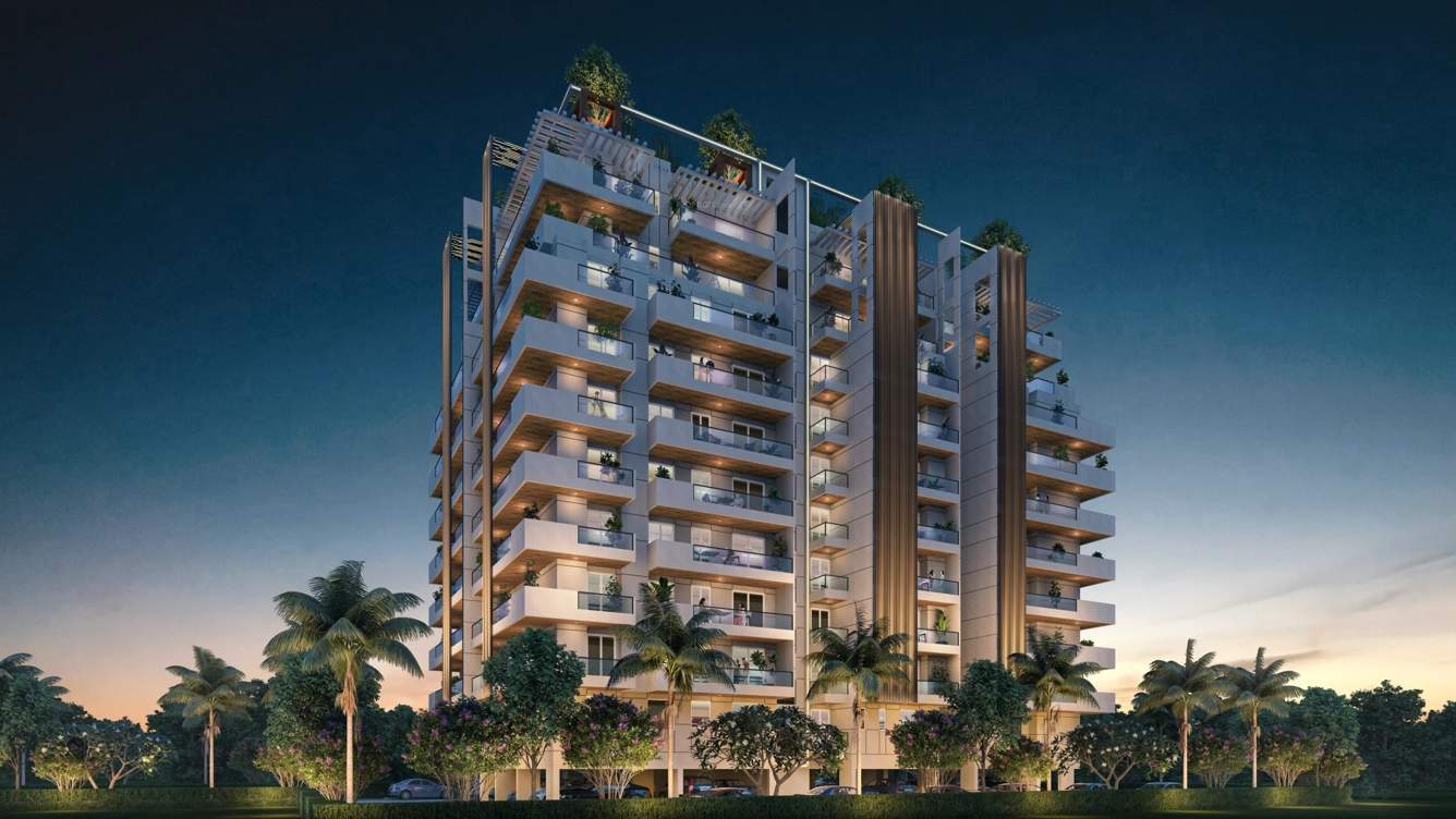  uma blossom Elevation