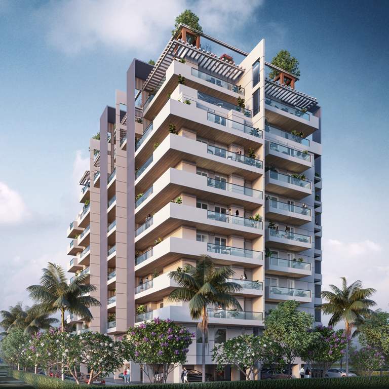  uma blossom Elevation