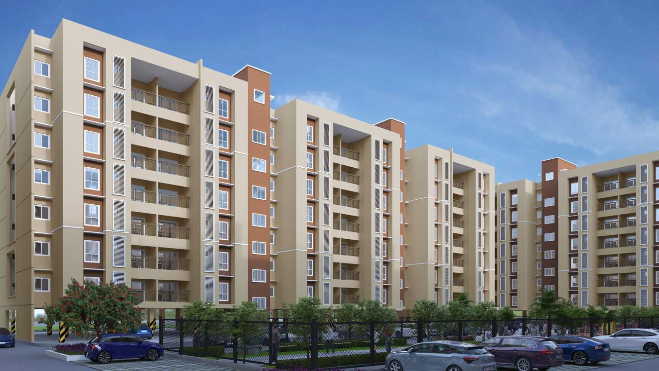  codename 24k Elevation