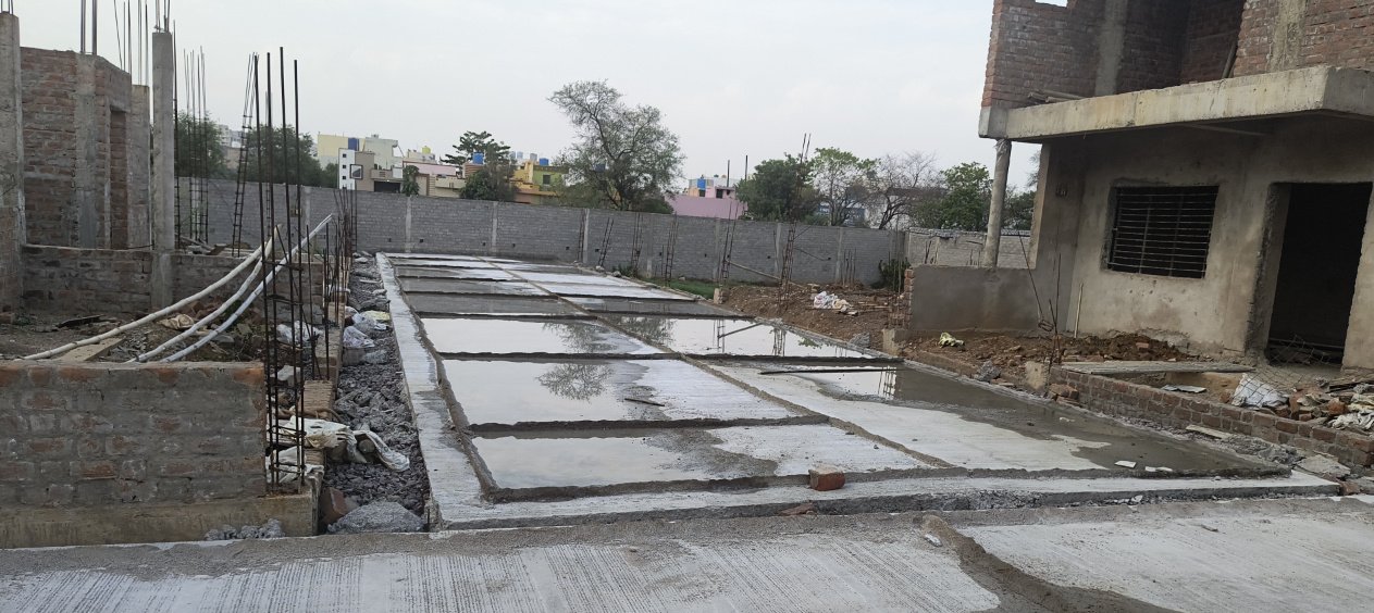 paradise phase 2 Others