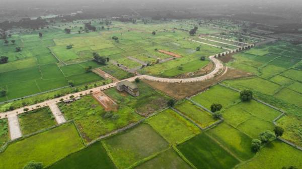 Elevation parkview Elevation