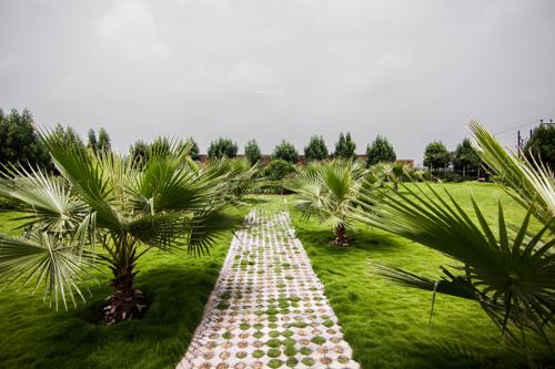 Landscape Garden and Tree Planting parkview Landscape Garden and Tree Planting