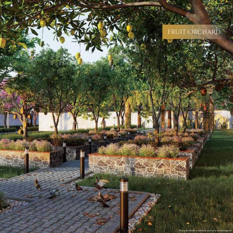 at one life phase 3 Flower Garden