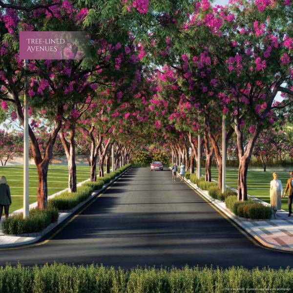  at-one-life-phase-3 Theme Park