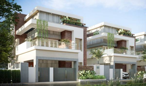 Elevation sree-dakshas-nefeli Elevation