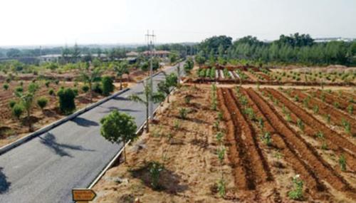  diamond-city-phase-1 Internal Roads & Footpaths